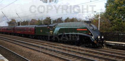 Purchase posters of 60009 UNION OF SOUTH AFRICA